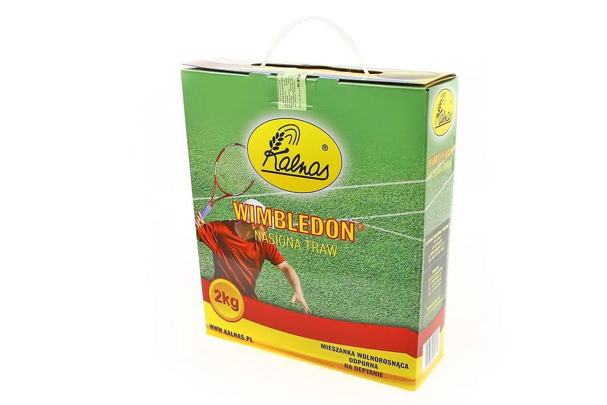 Jak długo wschodzi trawa Wimbledon i jakie warunki są kluczowe?