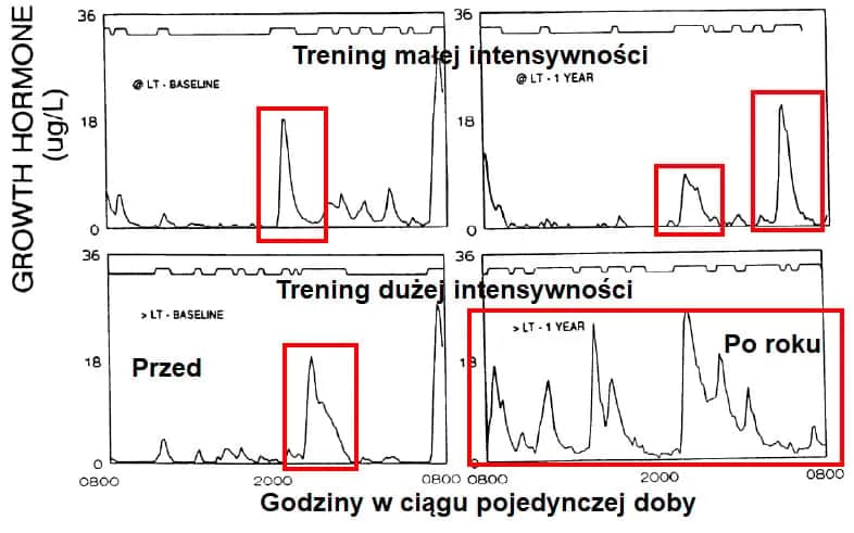 Hormon wzrostu przed czy po treningu - kiedy osiągniesz najlepsze efekty?