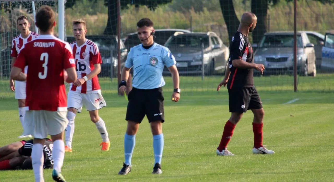 Zarobki arbitra: Ile naprawdę można zarobić w różnych dziedzinach?